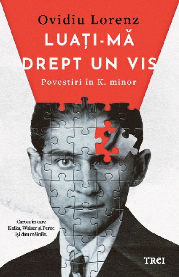 Coperta cărții 'Luați-mă drept un vis. Povestiri în K. minor - Ovidiu Lorenz'
