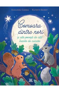 Comoara dintre nori si alte povesti de citit inainte de culcare - Alexandra Garibal, Kathryn Selbert