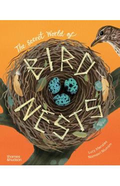 Coperta cărții 'The Secret World of Bird Nests - Lucy Menzies'