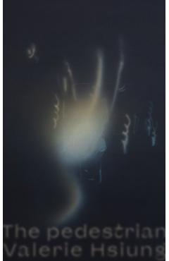 The Pedestrian - Valerie Hsiung