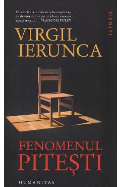 Fenomenul Pitesti - Virgil Ierunca
