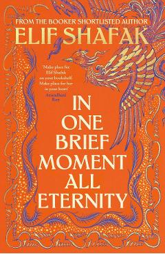 Coperta cărții 'In One Brief Moment All Eternity - Elif Shafak'