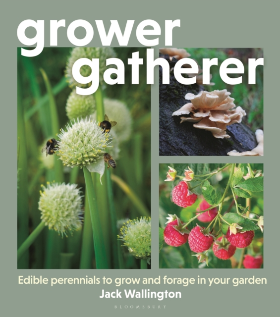 Coperta cărții 'Grower Gatherer - Jack Wallington'