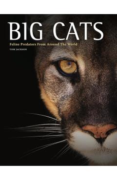 Big Cats: Feline Predators from Around the World - Tom Jackson