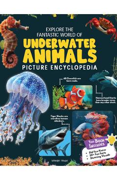 Coperta cărții 'Explore Fantastic World of Underwater Picture Encyclopedia -'