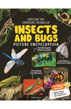 Coperta cărții 'Explore Fantastic World of Insects and Bugs Picture Encyclopedia -'