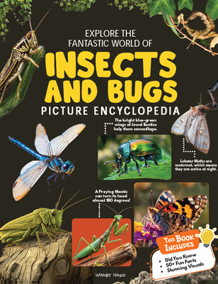 Coperta cărții 'Explore Fantastic World of Insects and Bugs Picture Encyclopedia -'
