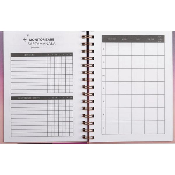 Planner zilnic. Bold dreams