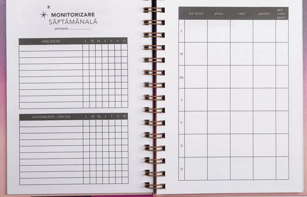 Imaginea produsului 'Planner zilnic. Bold dreams'
