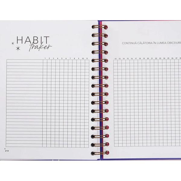 Planner. Formarea obiceiurilor. Dreamplifier