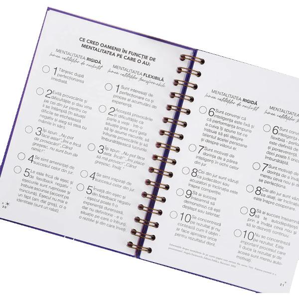 Planner. Formarea obiceiurilor. Dreamplifier
