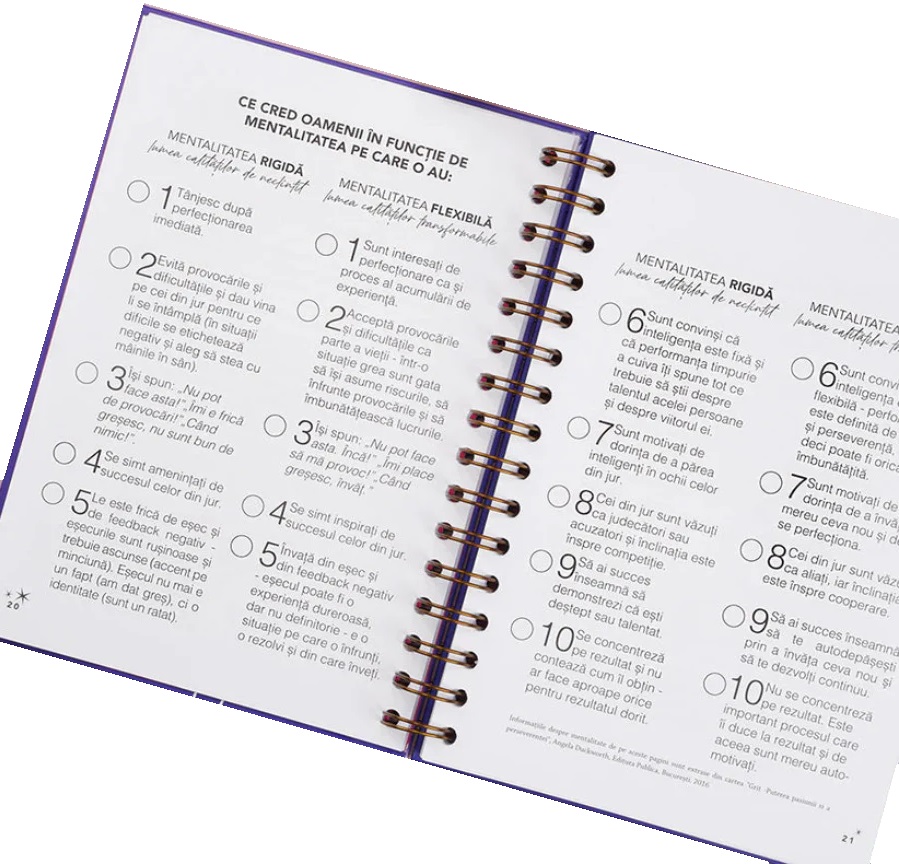 Imaginea produsului 'Planner. Formarea obiceiurilor. Dreamplifier'