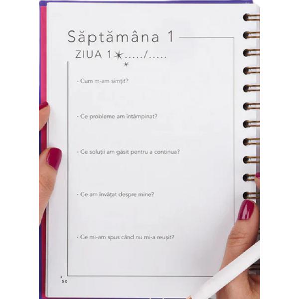 Planner. Formarea obiceiurilor. Dreamplifier