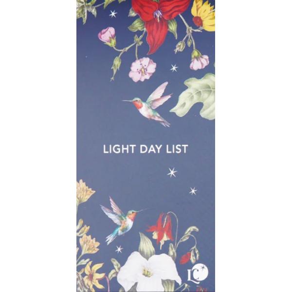 Carnet de notite: To Do Light List 