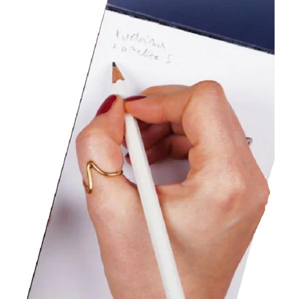 Carnet de notite: To Do Light List 