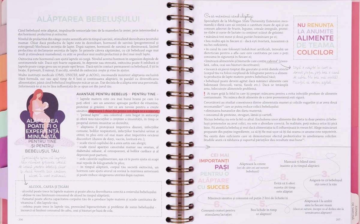 Imaginea produsului 'Agenda de sarcină. Plan the Joy'