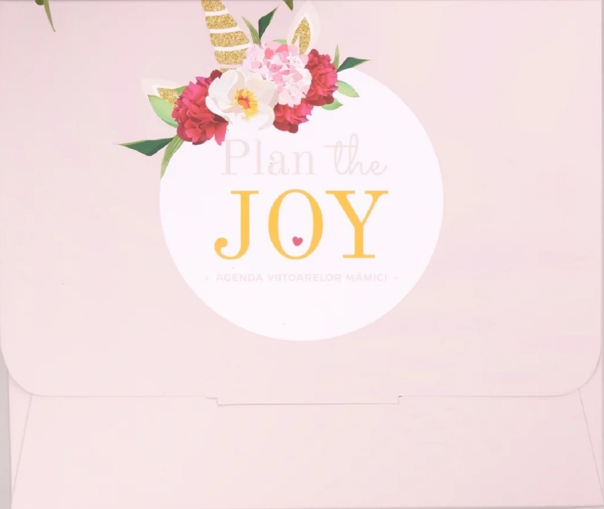 Imaginea produsului 'Agenda de sarcină. Plan the Joy'