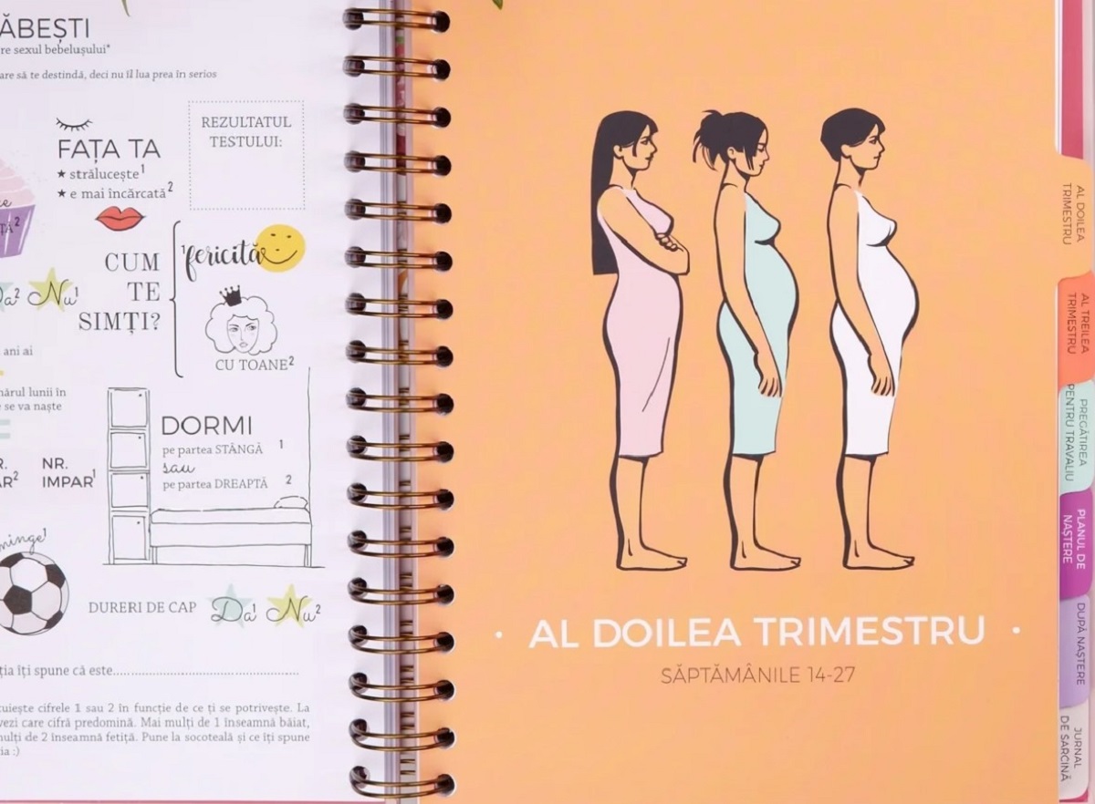 Imaginea produsului 'Agenda de sarcină. Plan the Joy'