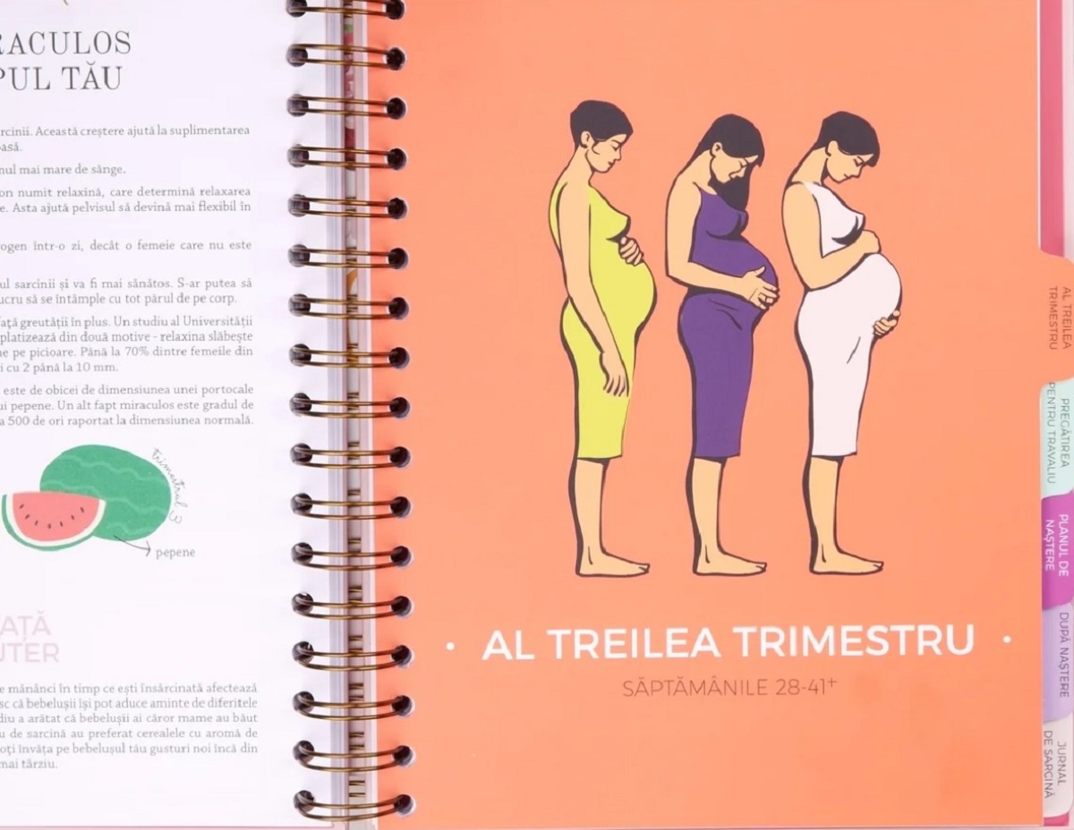 Imaginea produsului 'Agenda de sarcină. Plan the Joy'