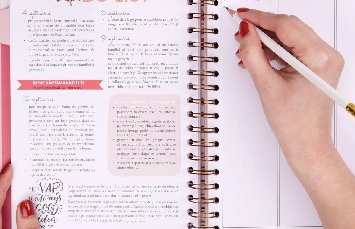 Imaginea produsului 'Agenda de sarcină. Plan the Joy'