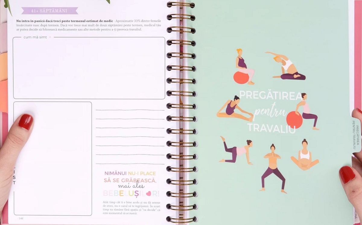 Imaginea produsului 'Agenda de sarcină. Plan the Joy'