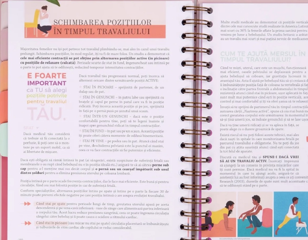 Imaginea produsului 'Agenda de sarcină. Plan the Joy'