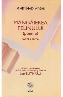 Coperta cărții 'Mângâierea pelinului. Poeme. Partea întai - Ghennadi Ayghi'