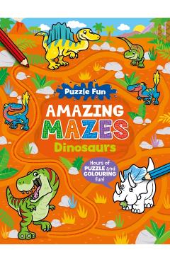 Coperta cărții 'Puzzle Fun Amazing Mazes: Dinosaurs -'