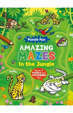 Coperta cărții 'Puzzle Fun Amazing Mazes: In the Jungle -'