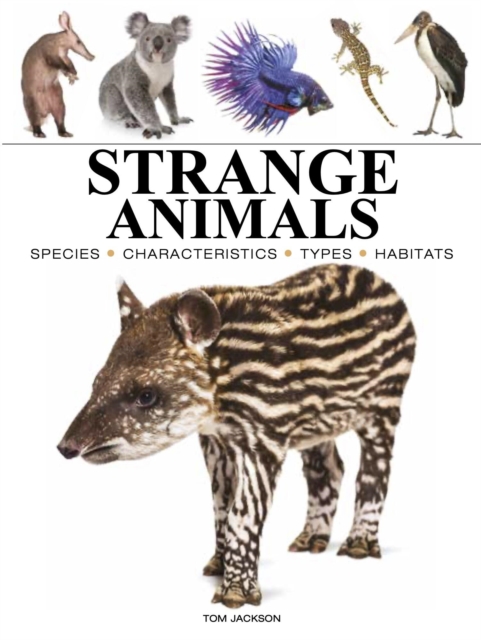 Coperta cărții 'Strange Animals - Tom Jackson'