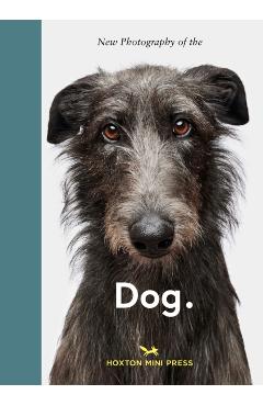 Coperta cărții 'New Photography of the Dog - Jilke Golbach'