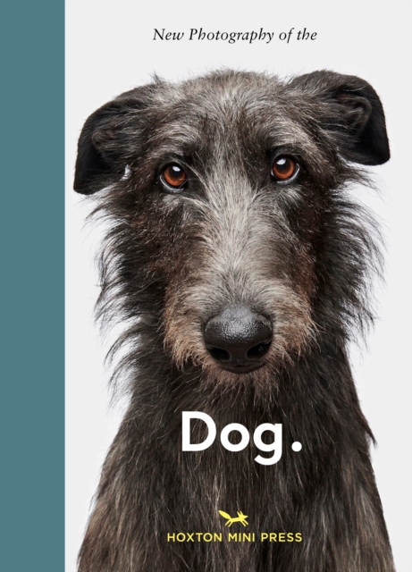Coperta cărții 'New Photography of the Dog - Jilke Golbach'