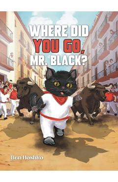 Coperta cărții 'Where Did You Go, Mr. Black? - Ben Hoshko'
