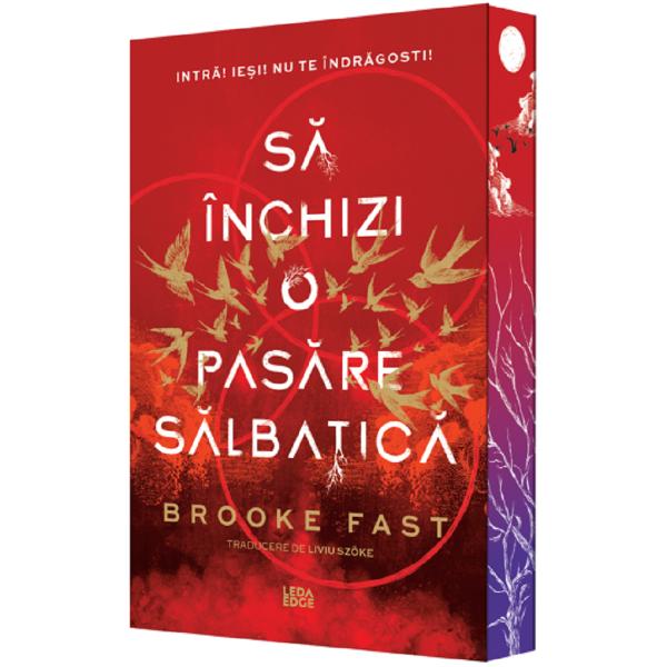 Sa inchizi o pasare salbatica. Seria Endlock Vol.1 - Brooke Fast