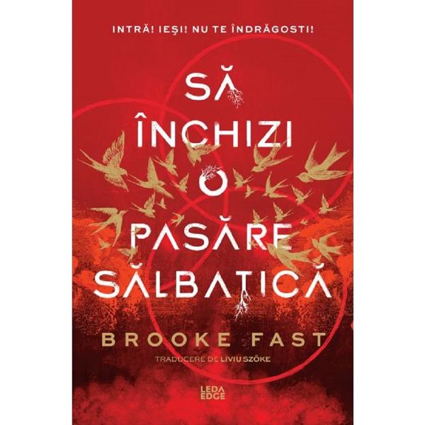 Sa inchizi o pasare salbatica. Seria Endlock Vol.1 - Brooke Fast