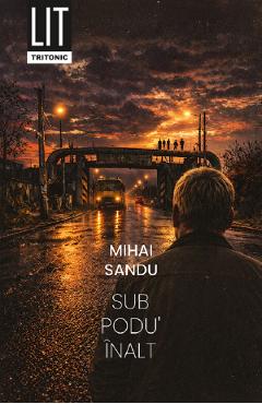 Sub Podu' Inalt - Mihai Sandu