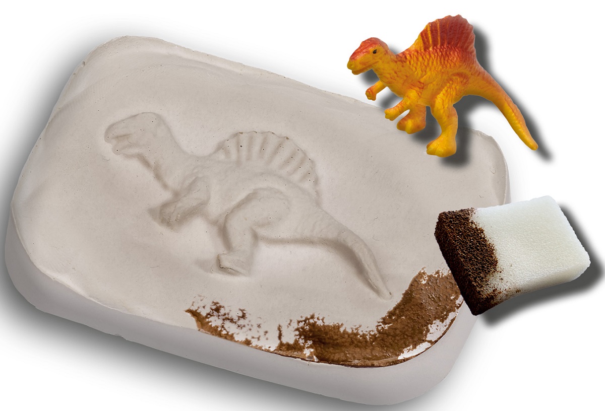 Imaginea produsului 'Set Explore: Fosile de dinozaur'