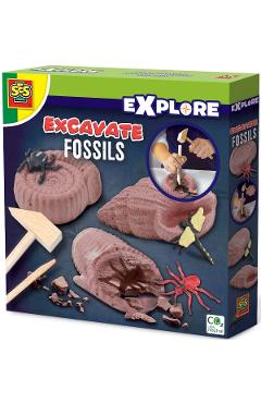 Imaginea produsului 'Set Explore: Fosile'