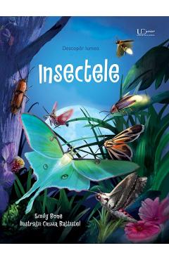 Coperta cărții 'Insectele. Descopăr lumea - Emily Bone'