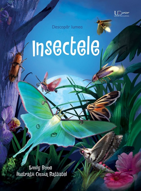 Coperta cărții 'Insectele. Descopăr lumea - Emily Bone'