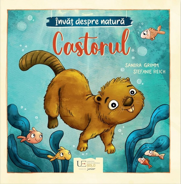 Coperta cărții 'Învăț despre natură. Castorul - Sandra Grimm'