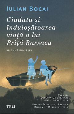 Coperta cărții 'eBook Ciudata si induiosatoarea viata a lui Prita Barsacu - Iulian Bocai'