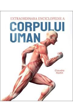 Coperta cărții 'Extraordinara enciclopedie a corpului uman - Claudia Martin'