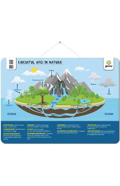 Plansa: Circuitul apei in natura