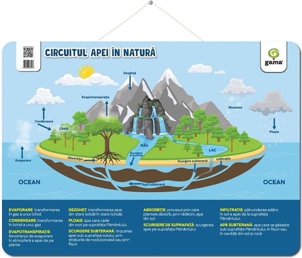 Coperta cărții 'Planșă: Circuitul apei în natură'