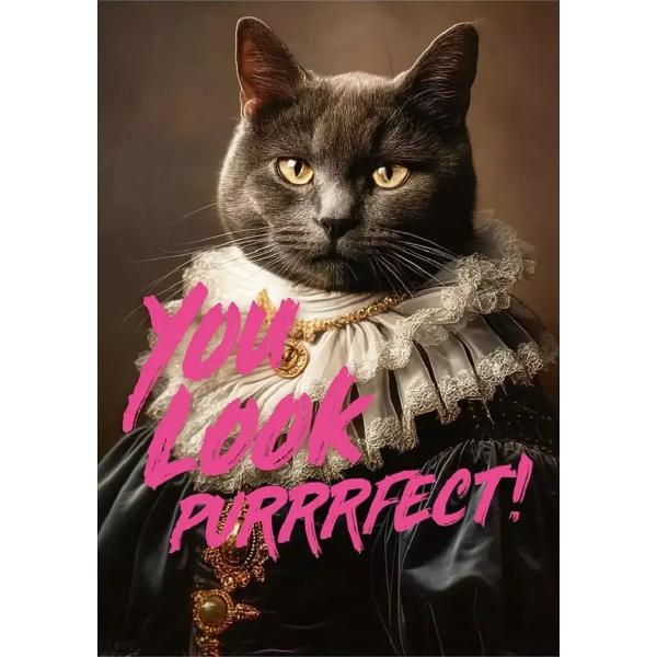 Puzzle 1000: You Look Purrrfect!