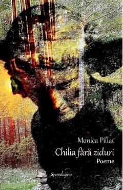 Coperta cărții 'Chilia fără ziduri. Poeme - Monica Pillat'
