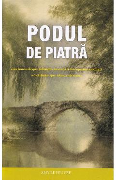 Coperta cărții 'Podul de piatră - Amy Le Feuvre'