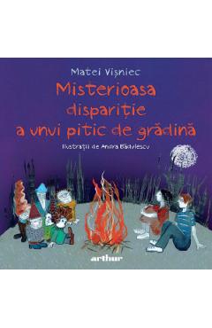 Coperta cărții 'Misterioasa dispariție a unui pitic de grădină - Matei Vișniec'