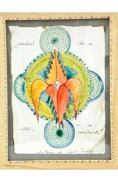 Imaginea produsului 'Ilustrație înrămată. Model 5: Adevărul'